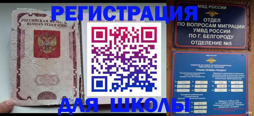 прописка гарантия в Ковдоре